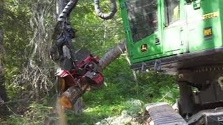 Idaho Logging - Single Grip Harvester - John Deere 859MH