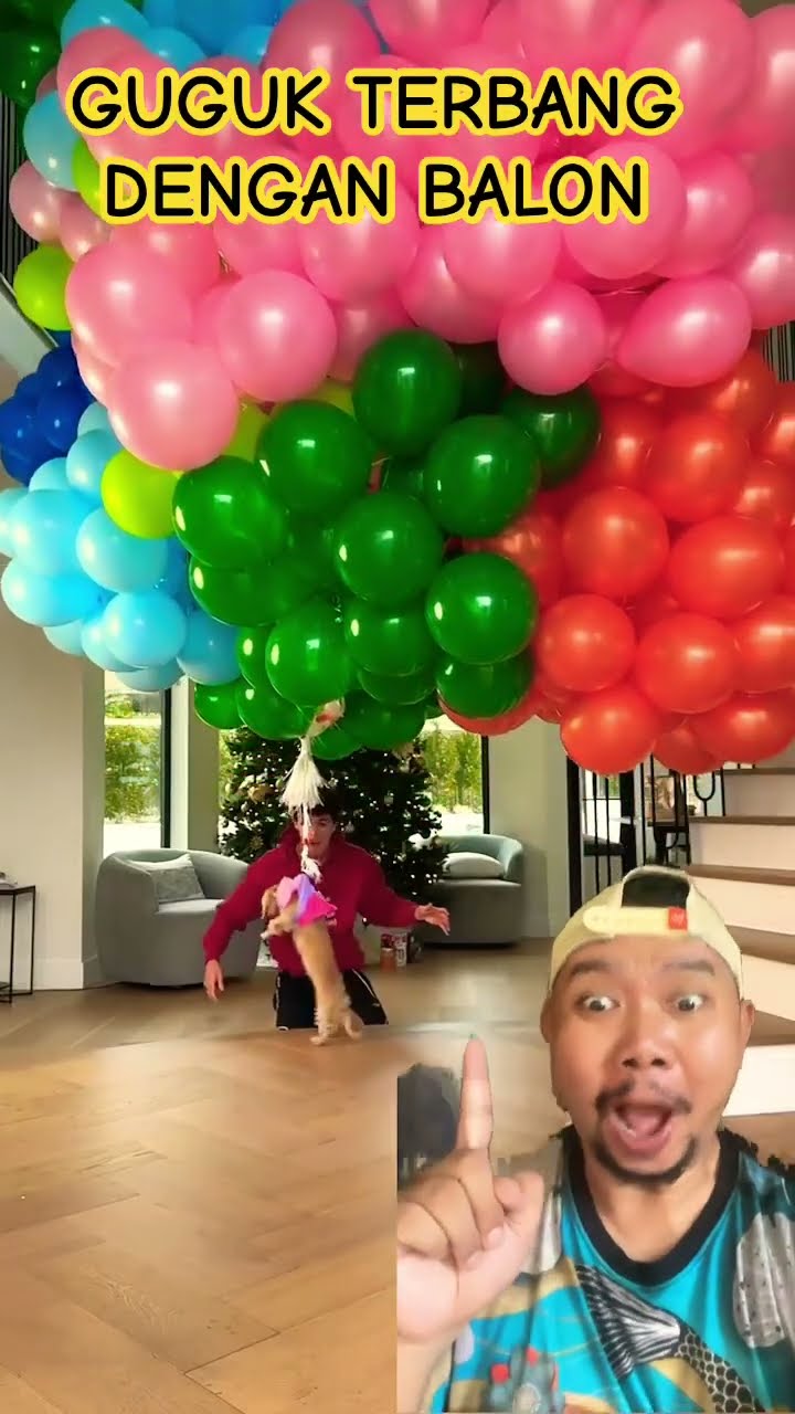 TERBANGLAH DENGAN BALON KESAYANGANKU!!!!?? #funny #balloon #birthday #shorts