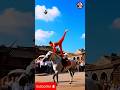 Insane Horse Stunt! Perfect Balance + Football Trick 🤯 // #HorseStunt #AmazingTalent #BalanceSkills