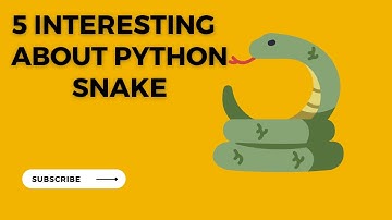 Interesting facts about Python Snake | Facts about Python Snake | Python Snake | Facts |@FactzTech