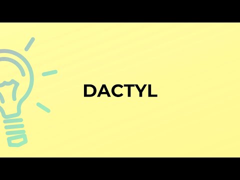 Video: Ano Ang Dactyl