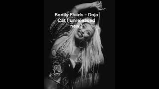 Doja Cat - Bodily Fluids ( NEW unreleased )