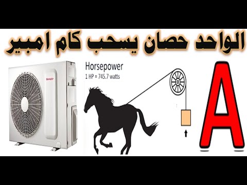 الحصان بيسحب كام امبير