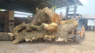 Unique Large Branched Wood Cutting Technique! The Skills of Jepara People Are Extraordinary