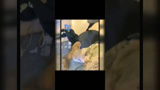 Post-Christmas Room Check