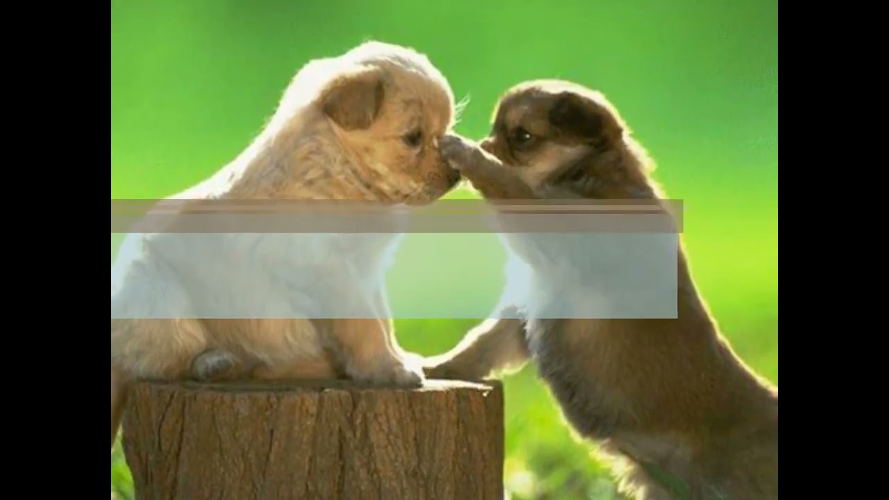 l'amitié c'est notre histoire