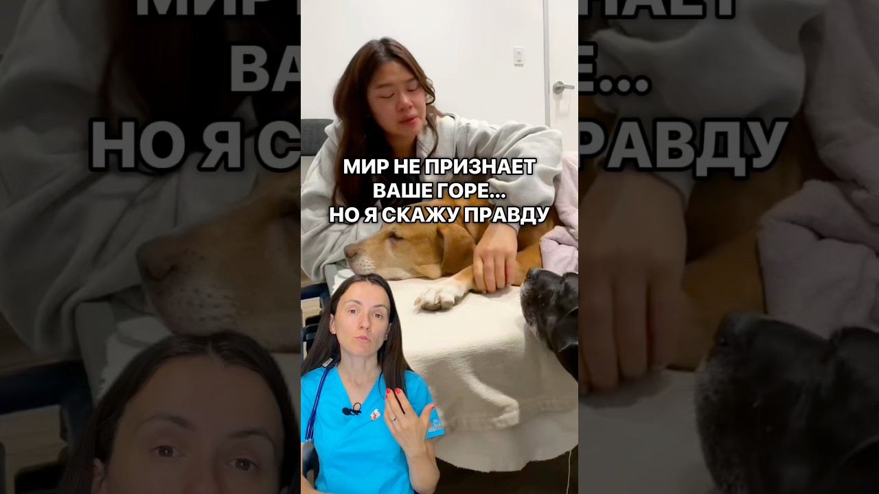 💖 Забирай эти видео и гайды чтобы не теряться в сложных ситуациях. Доступ свободный, ссылка в bio