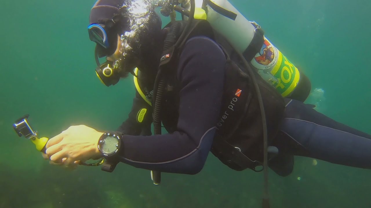 Diving with Sozopol Diving Center — Black Sea, 2021