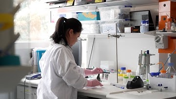 Make an impact in Data, Technology and AI at UNSW Sydney