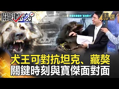 精選│史達林最愛「犬王」！ 對抗坦克、秒殺藏獒 高加索犬一生只認一主人！【關鍵時刻】-劉寶傑 黃文華 馬西屏 朱學恒 李正皓 姚惠珍 黃世聰 陳建宏 沙西米