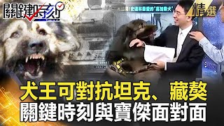 精選│史達林最愛「犬王」！ 對抗坦克、秒殺藏獒 高加索犬一生只認一主人！【關鍵時刻】-劉寶傑 黃文華 馬西屏 朱學恒 李正皓 姚惠珍 黃世聰 陳建宏 沙西米