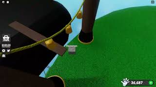 Sbeve ontop of the default arena.