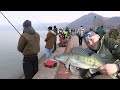 Pecanje smuđa na Dunavu - Đerdap - Takmičenje u varaličarenju - Donji Milanovac | Fishing zander