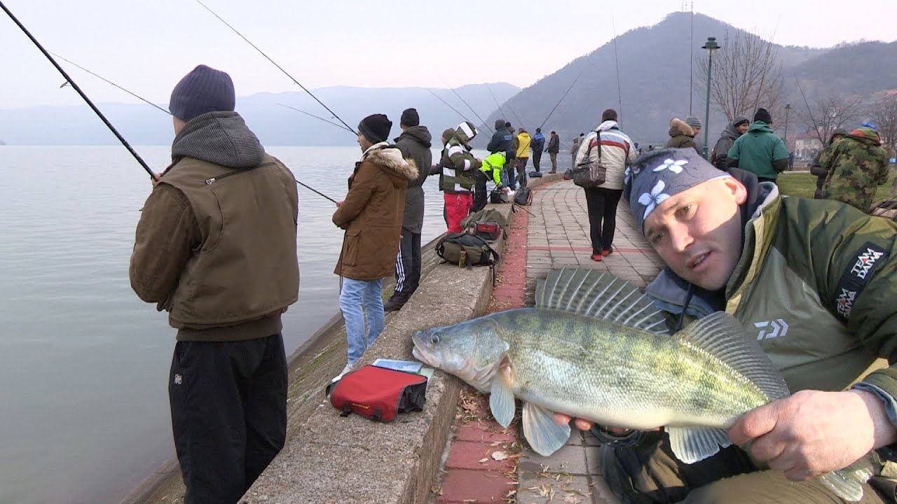 Pecanje smuđa na Dunavu - Đerdap - Takmičenje u varaličarenju - Donji Milanovac | Fishing zander