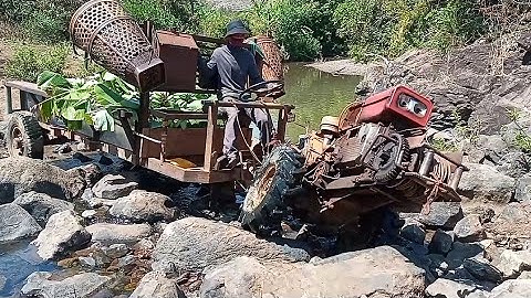 xe công nông chở chuối đường rất khó đi #Nhan81ĐônHyang