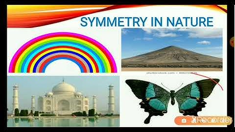 NCERT Class - 5 Maths, Chapter - 5(Does it look the same?)