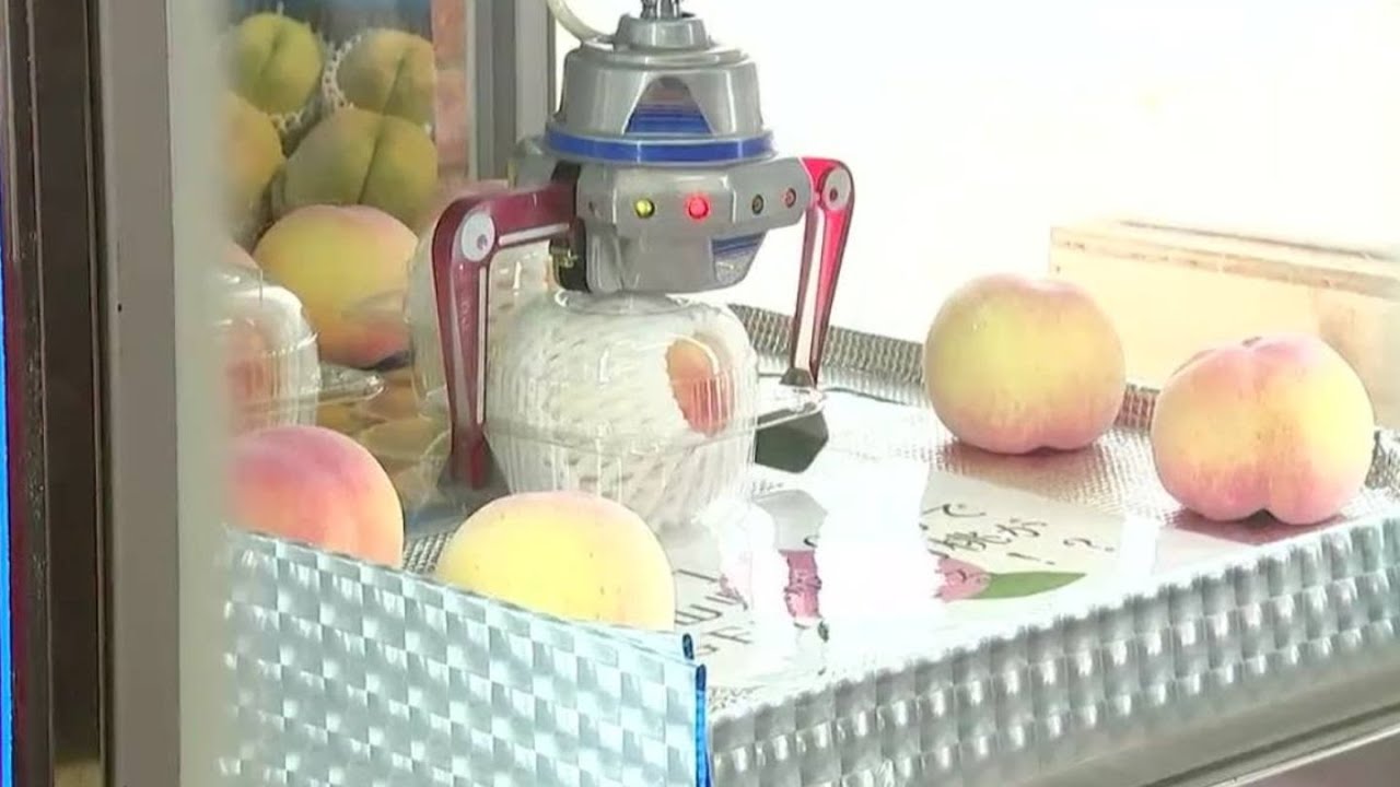 1回100円！ 津山市の農園で桃を景品としたクレーンゲーム「桃