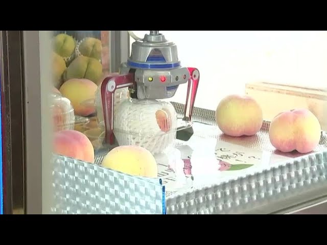 1回100円！ 津山市の農園で桃を景品としたクレーンゲーム「桃