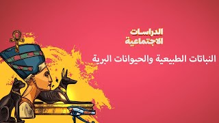 أهمية النباتات الطبيعية في حياتنا | الدراسات الاجتماعية | الصف الخامس الابتدائي