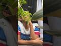 Afternoon peace ☮️ ❤️- #shorts #minivlog
