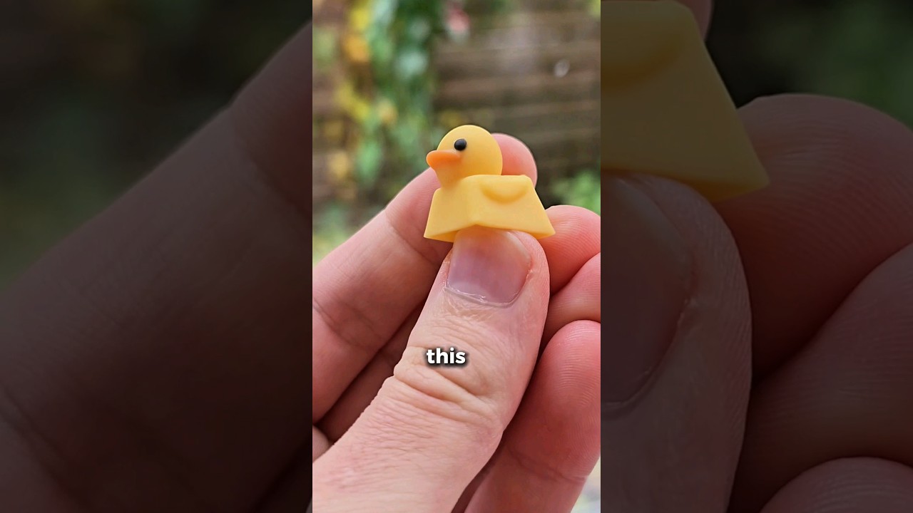 THE SOUND THEY MAKE 🥺