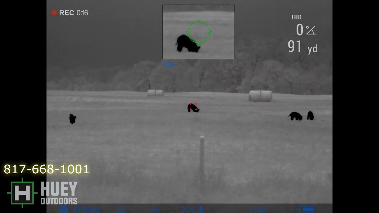 Охота на кабана с 300 Hammer Trail 2 LRF XP50