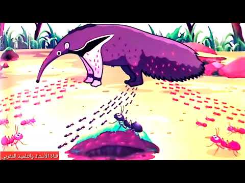 النص السماعي 4 تعاون مثمر المستوى السادس منار اللغة العربية 