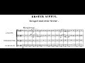 SIEGFRIED by Richard Wagner (Audio + Full Score)