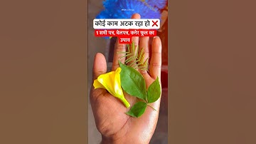 बेलपत्र शमीपत्र और कनेर का करे ये उपाय #pradeepmishrakeupay #pandit_pradeep_ji_mishra #shorts #shiv