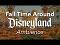 Fall time around disneyland ambience  autumn disneyland  dca halloween ambience