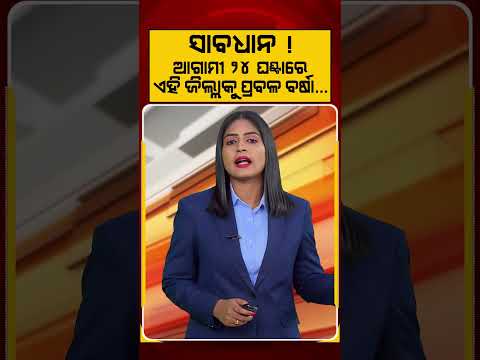 ଆଗାମୀ ୨୪ ଘଣ୍ଟାରେ ପ୍ରବଳ ବର୍ଷା | Argus Reels | Rainfall | Odisha Rain Alert | IMDAlert | Argus News
