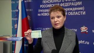 Какими будут новые СНИЛС в Новосибирске