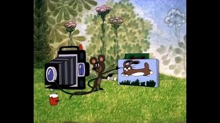 Krtek fotografem / The Little Mole as the Photographer