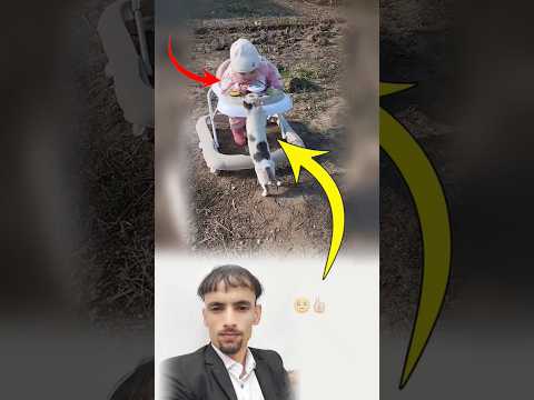 لحظة لطيفة بين طفل صغير وقطة فضولية مشهد يخطف القلب لايك Viral Trending Shorts