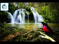 Terapi Kolibri Ninja Macet Bunyi Terbaik Omkicau(.mp3 .mp4) Mp3 - Mp4 Download