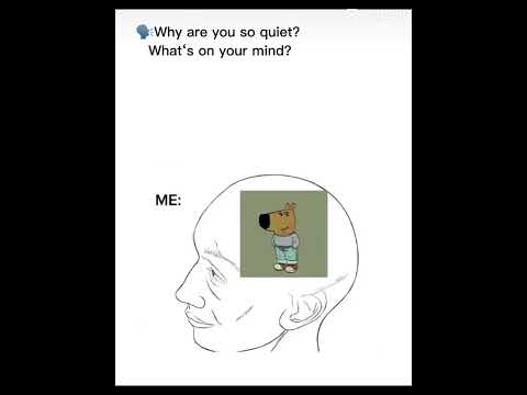 Chill guy