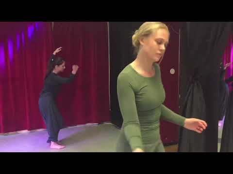 Arabesque Academy VT