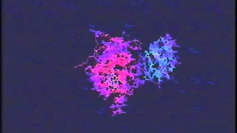 Brownian Dynamics simulation cytochrome c peroxidase/cytochrome c