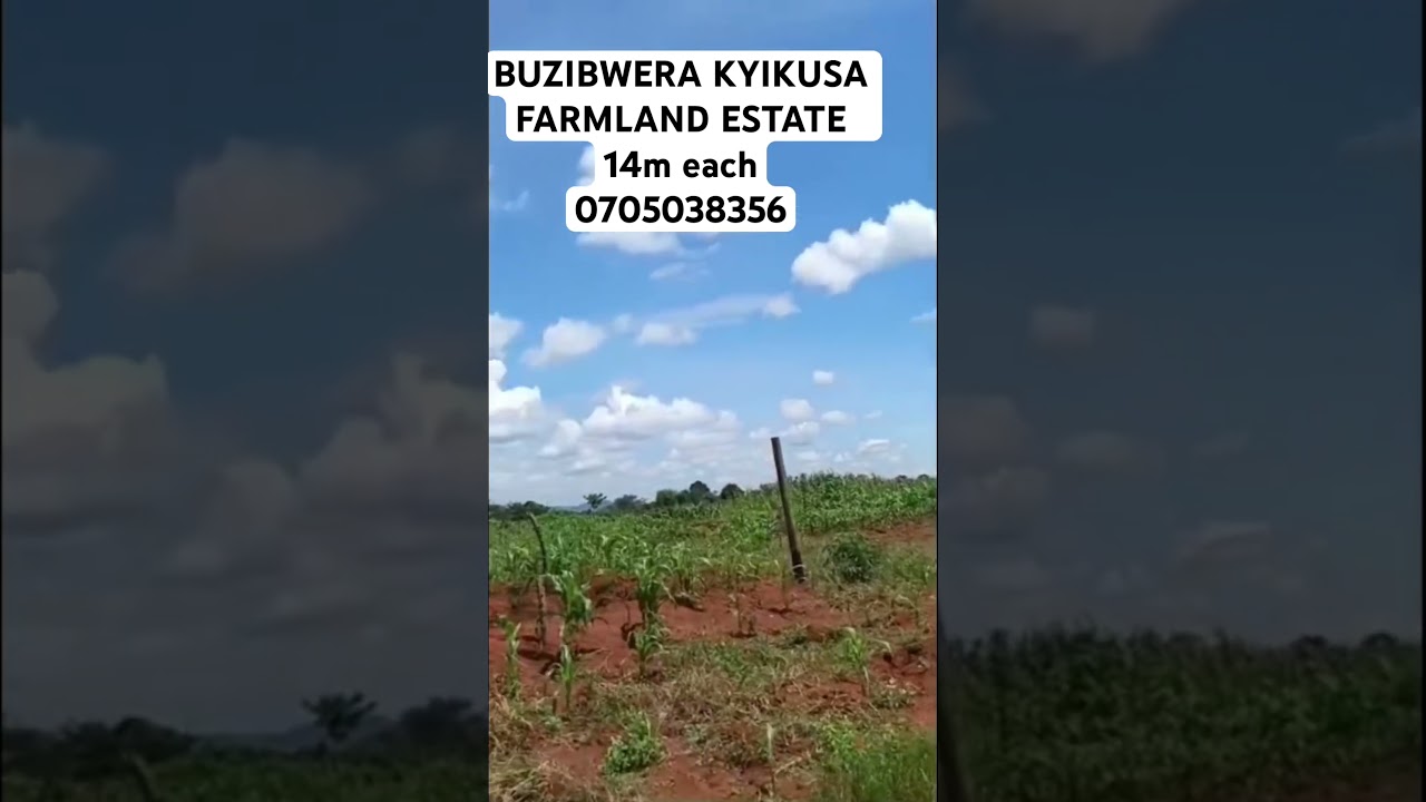 Buzibwera Kyikusa Farmland Estate