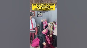 momen lucu ketika pengantin wanita cemburu sama MUA ‼️‼️ #ngakak #lucu #cemburu #pengantinviral #mua