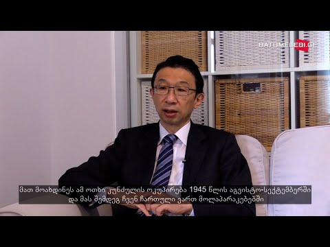 იაპონიის ელჩი გეოპოლიტიკაზე, ოკუპაციაზე, ტოჩინოშინსა და ანიმეებზე - ინტერვიუ