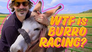 A Beginner's Guide and Hilarious Attempt at Colorado's Burro Racing