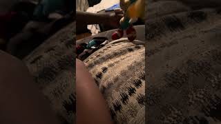Kason and AJs cool video subscribe (sonic plushies and with my brother)