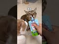 I almost opened my mouth to speak for a bite of shrimp. Rongsheng Candy Cube Refrigerator Rongsh