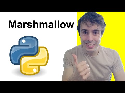 Mapping And Validating With Marshmallow | Flask And Python Backend 4