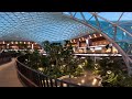🌍✈️ Gateway to the World: Discover Doha Airport ✨  #dohaairport #shortsviral #shorts
