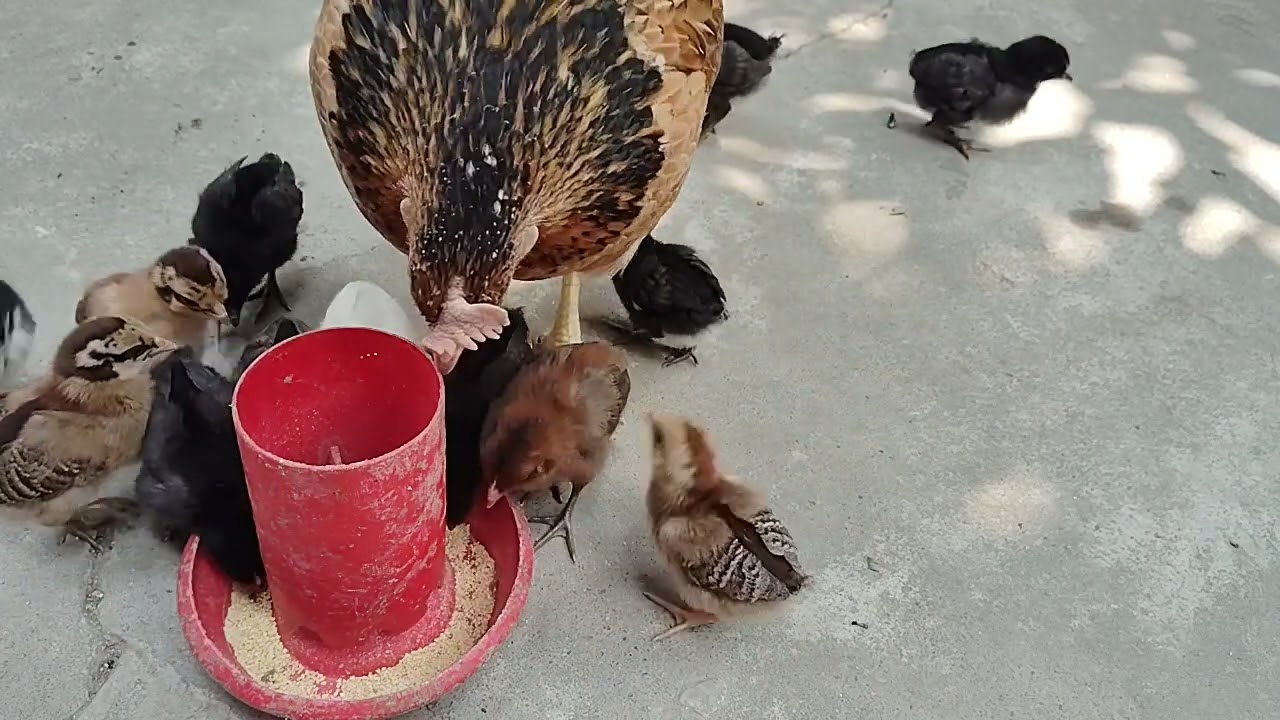 Masha allah🥰🥰🥰