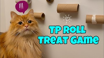 Fun & Easy DIY Treat Game For Cats 🐈🐈🐈