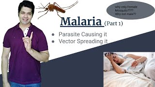 Malaria : Parasite causing infection and Vector Mosquito (Female Anopheles). Malaria Part 1.