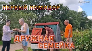 Latvija Латгальская деревня староверов Ура Первый помидор Домашний аист Там тоже надо косить
